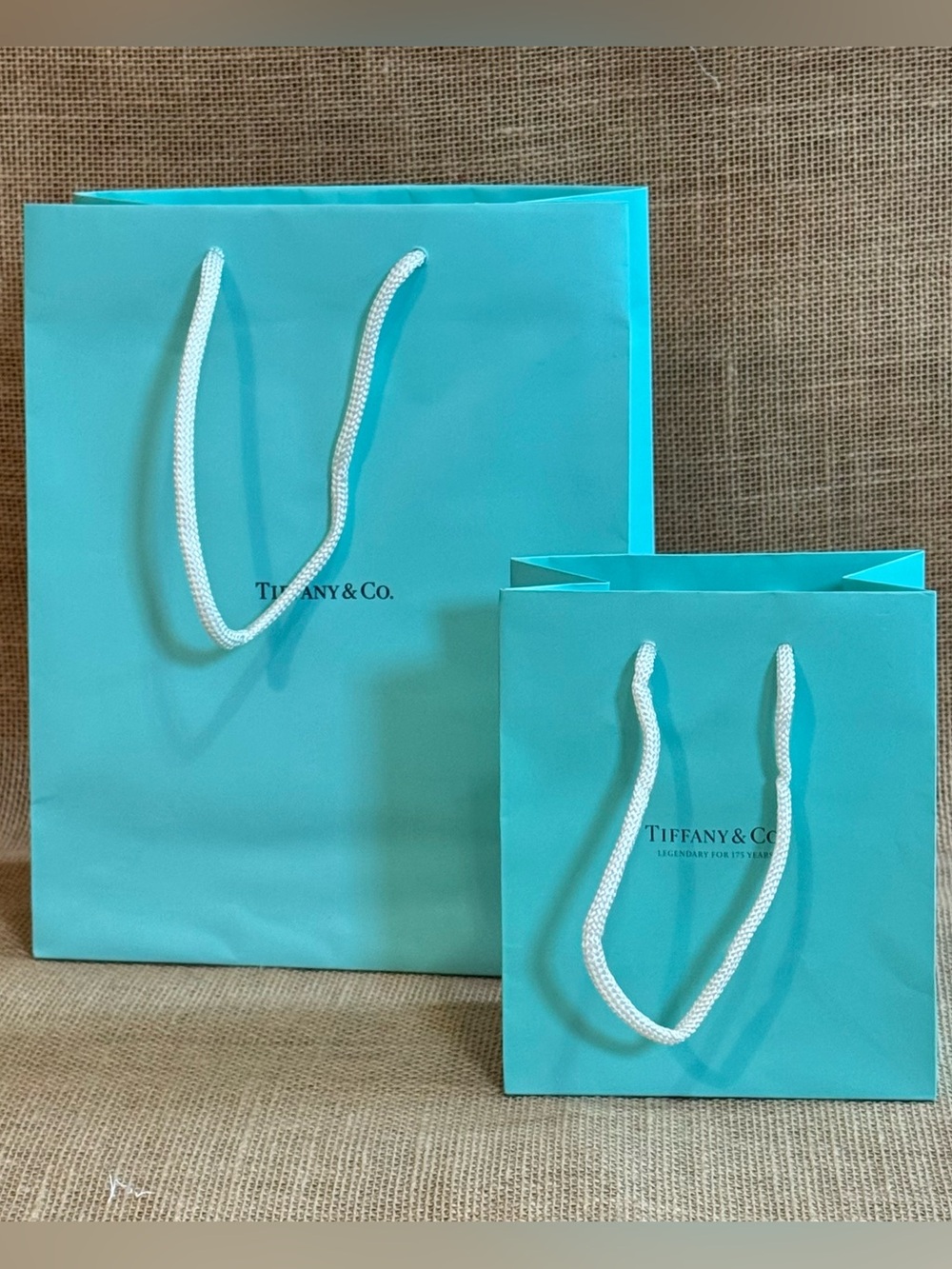 Tiffany & Co. Robin's Egg Blue Shopping Bags with White Rope Handles